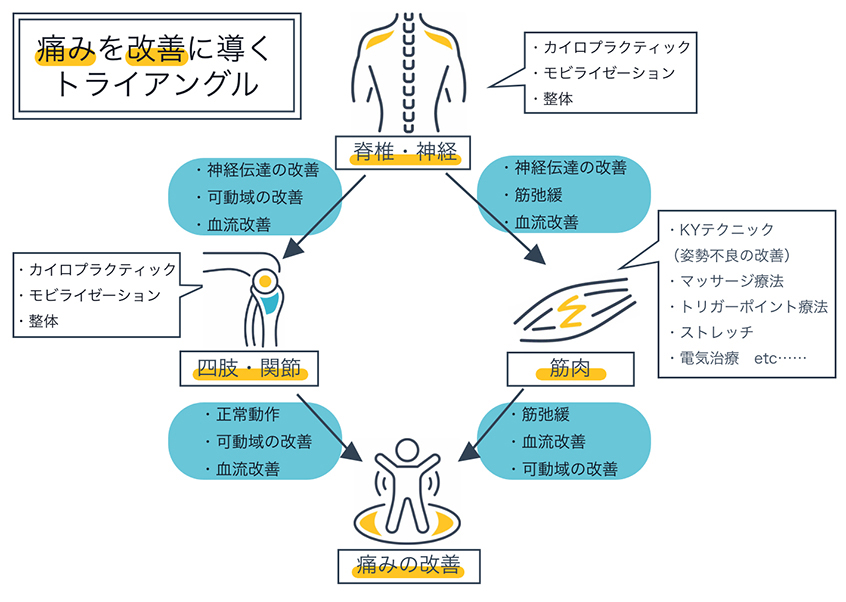 トリガーポイント 整骨院 カイロプラクティック 整体 【ポイント10倍